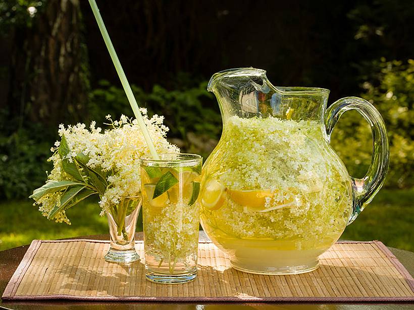 csm emsa blog holunderbluetensirup limonade 9db125a727